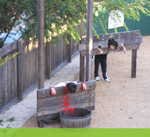 Guillotine Photo Area