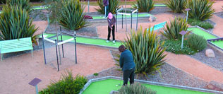 Mini Golf Course